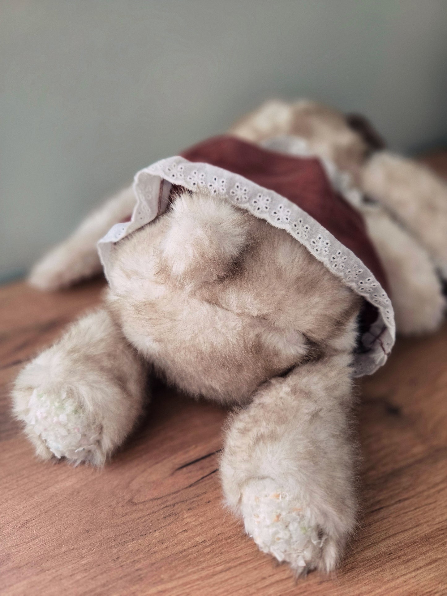 Кадифено зайче🐰